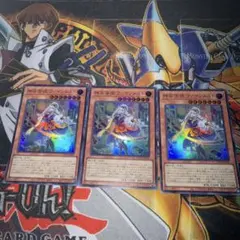 遊戯王　神芸学徒ファインメルト　スーパー3枚セット