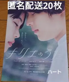 映画　キリエのうた　チラシ　フライヤー　20枚　松村北斗　SixTONES