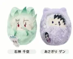たぴぬい千空 2026年最新】Dr.STONE くるみたぴぬい 千空の人気アイテム - メルカリ