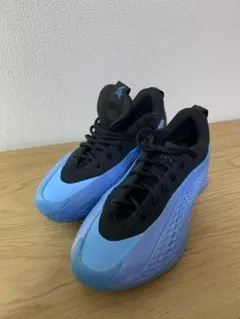 adidas AE2 29cm US11 美品 バッシュ アディダス 箱付き adidas AE2 29cm US11 美品 バッシュ アディダス 箱付き - メルカリ