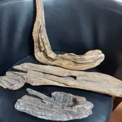 流木