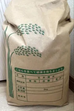 宮崎産「こしひかり」昨年収穫の自家用米 10キロから - メルカリ