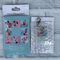 ディズニー イマジニングザマジック かキーチェーン ドナルド