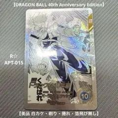 凡人様専用 アドバンスパックR☆APT-015|R☆ APT-017パラレル