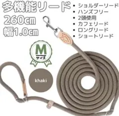 Item thumbnail for item d16cd92e-aad7-4f67-8dc7-e51d28603d0b