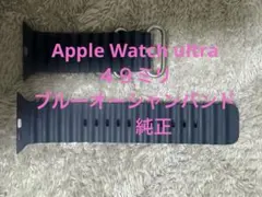 Apple Watch ブルーオーシャン バンド ナチュラルチタニウム 純正