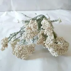 Basil様 リクエスト 2点 まとめ商品