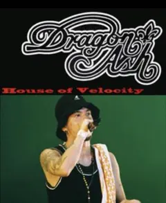 【KANGOL 】パイルハット　kj着