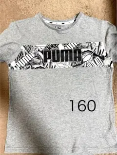 PUMA グレー Tシャツ 160サイズ
