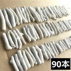 2025年最新】貝殻 さんご シーグラスの人気アイテム - メルカリ