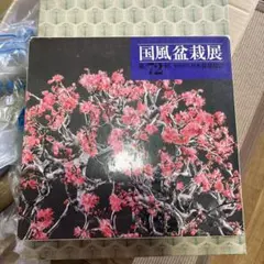 2026年最新】国風盆栽展の人気アイテム - メルカリ