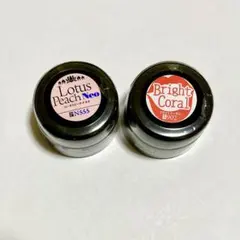 PREGEL プリジェル ピンクベージュ系 レッド系 ジェルネイル検定