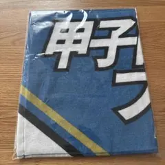 楽天イーグルス 中島大輔 MyHERO タオル 20周年 - メルカリ