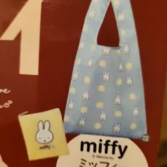 Item thumbnail for item 1d2c317e-b628-4a14-8fcb-2fbb02cacd30