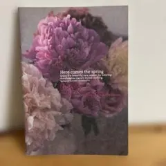 美品★ハグオーワー　カタログ