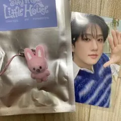 2026年最新】チャンビン ぬいぐるみの人気アイテム - メルカリ