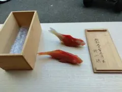 レア】鯉のぼり 柚木沙弥郎 縁起物ヴィンテージ品❣️ - メルカリ