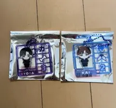 超特急　REAL？　プラスチックモデル風キーホルダー　カイ　リョウガ