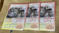 鳥羽水族館 コレクションカード vol.2 ラッコ キラ メイ - メルカリ