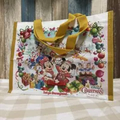 ディズニーシー　ディズニーランド　クリスマス　バッグ　2018 35周年のサムネイル