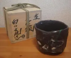 2026年最新】向山文也の人気アイテム - メルカリ