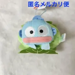 はぴだんぶい かしわもち風マスコット ハンギョドン サンリオ