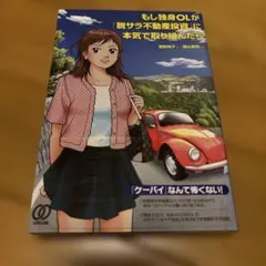 もし独身OLが脱サラ不動産投資に本気で取り組んだら