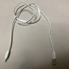Lightning USBケーブル ホワイト