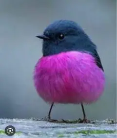 ☆ぴの☆様専用