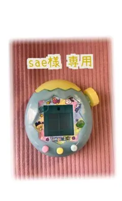 sae様 専用