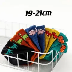 春夏可愛い刺繍恐竜シリーズメッシュ5足19∼21cmベビーキッズソックス子供靴下