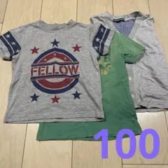 Tシャツ２枚とベストセット 100cmのサムネイル