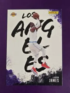 PANINI INSTANT LEBRON JAMES NBAカード