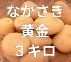 2025年最新】ながさき黄金 種芋の人気アイテム - メルカリ