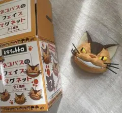 【新品☺︎未使用】ネコバス　フェイスマグネット
