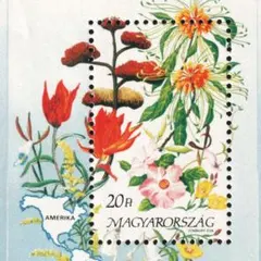 Item thumbnail for item ac22d943-8189-43aa-8676-a5d807b78e42