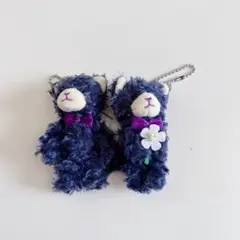 うたプリ PRINCECAT プリキャ ぷち アイリス 一ノ瀬トキヤ