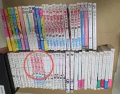 Asaさん専用　たまのごほうび　4冊