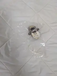 ぶらりーず 第4弾 パグ