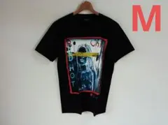 レッチリ RHCP By the way M ヴィンテージTシャツ バイザウェイ - メルカリ