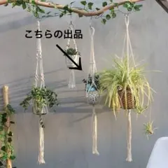 ハンギングプランター用ネット ハンギングネット ネットのみのサムネイル