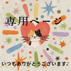 ショウガ様 リクエスト 3点 まとめ商品