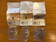 ネイチャーテクニカラー