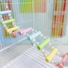 ラスト１点！インコ 止まり木 はしご 50cm レインボー つり橋 小鳥のサムネイル