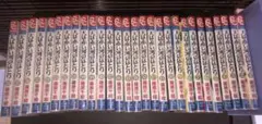 I923m】篠原千絵 天は赤い河のほとり 全16巻完結全巻セット 小学館文庫