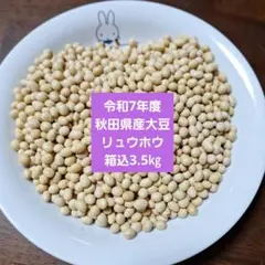 令和7年度岩手県産大豆 リュウホウ 10kg➕100g - メルカリ