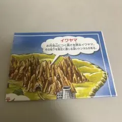 スルメクン様 リクエスト 2点 まとめ商品