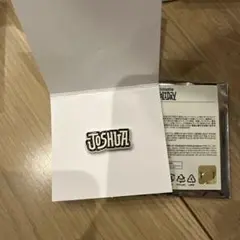 SEVENTEEN HOLIDAY セブチ ピンバッジ ピンズ ジョシュア