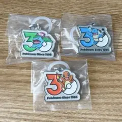 ポケモン30周年　メタルチャームマスコット