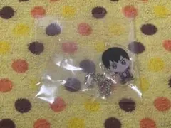 ハイキュー!! ちびぐるみフェス お写真キーホルダー 影山 飛雄